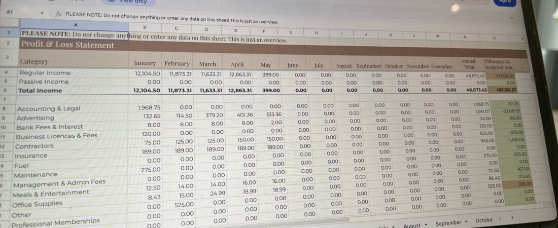 A view of the Profit & Loss Statement for the Canadian Small Biz Bookkeeping System